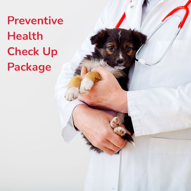 Preventive Health Check Up Package 