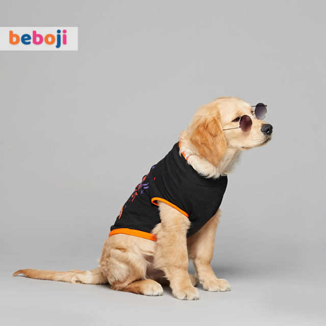 beboji O Bete Mauj Kardi Dog Tshirt - S