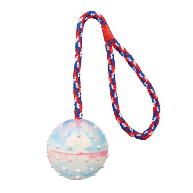Trixie Ball on a Rope Natural Rubber Dog Toy - 30 cm