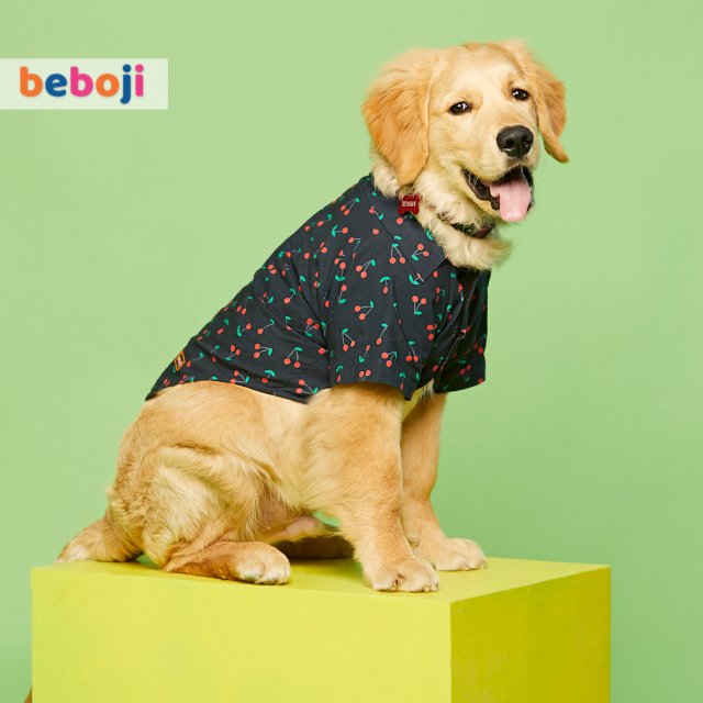 Daopwlkom Camouflage Dog Shirts Pet T-Shirt Cotton Vest Summer Shirt Soft Sweatshirt Small Dog Cat Vest Clothes Puppy 