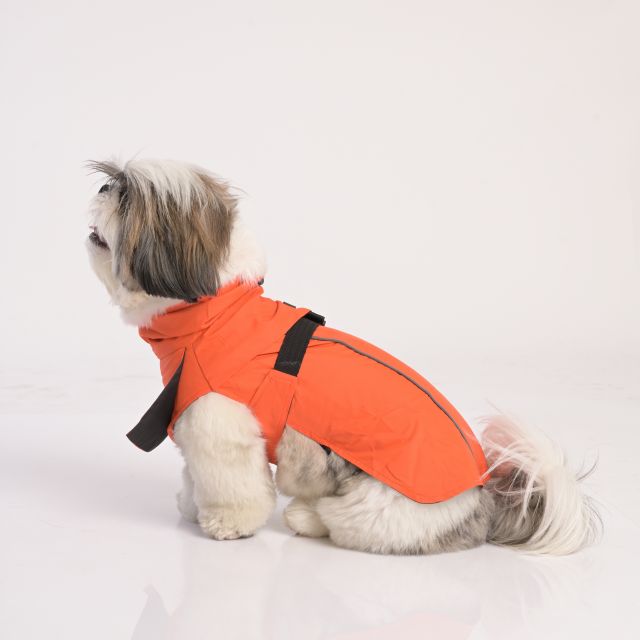 ZL Raincoat & Windcheater for Dogs - Apricot-S