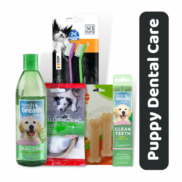 Zigly Dental Care combo (Tooth gel, Toothbrush, Water Additive, Treat & Toy) For Puppy