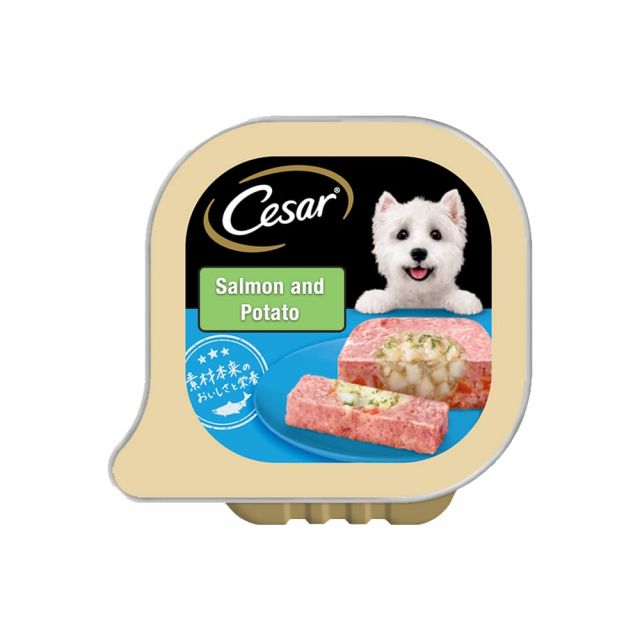 Cesar Salmon & Potato Flavour Tray Adult Wet Dog Food - 100g