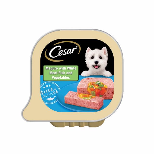 Cesar Gourmet Adult (1+ Years) Wet Dog Food, White Meat Fish & Vegetables Flavour Tray - 100g