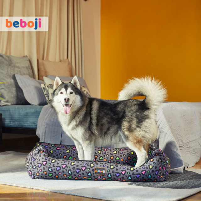 beboji Hearty Heart Bed for Dogs