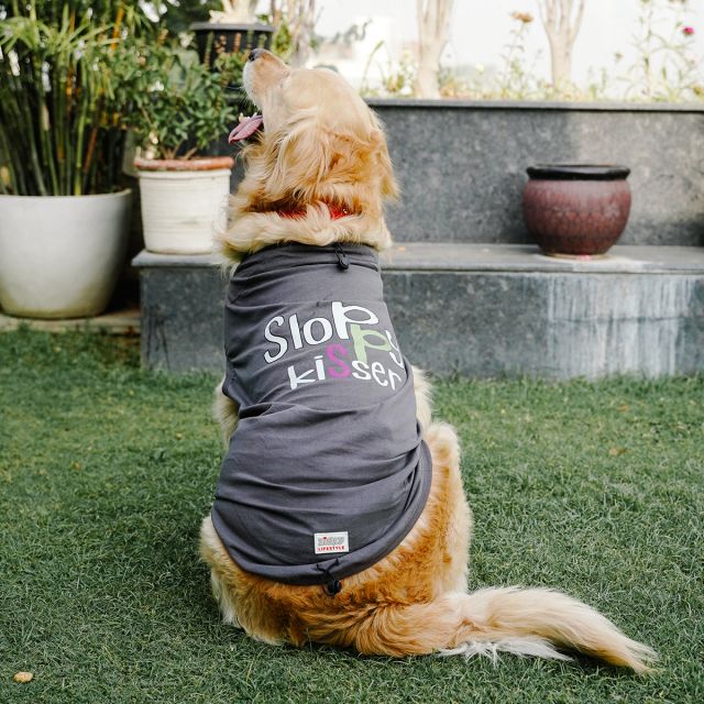 ZL Pet Sloppy Kisser Twin Dog T-Shirt-XS