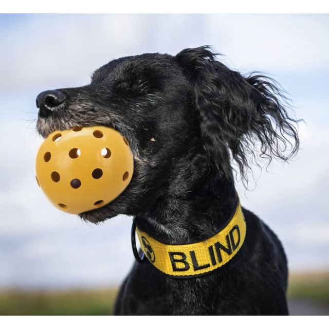 Trixie - Hole Ball with Bell (7 cm)