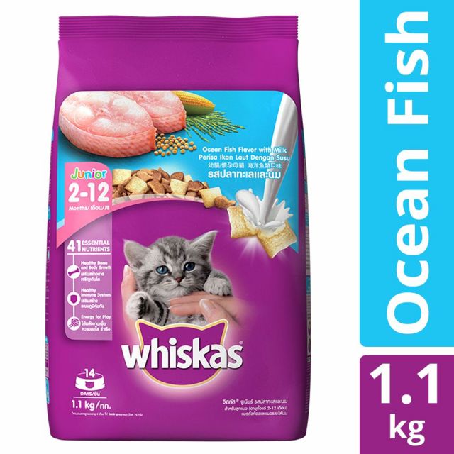 Whiskas Kitten (2-12 months) Ocean Fish With Milk Dry Food- 1.1 kg