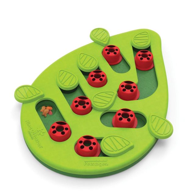 Petstages Buggin Out Puzzle and Play Cat Game 24X33 cm Green