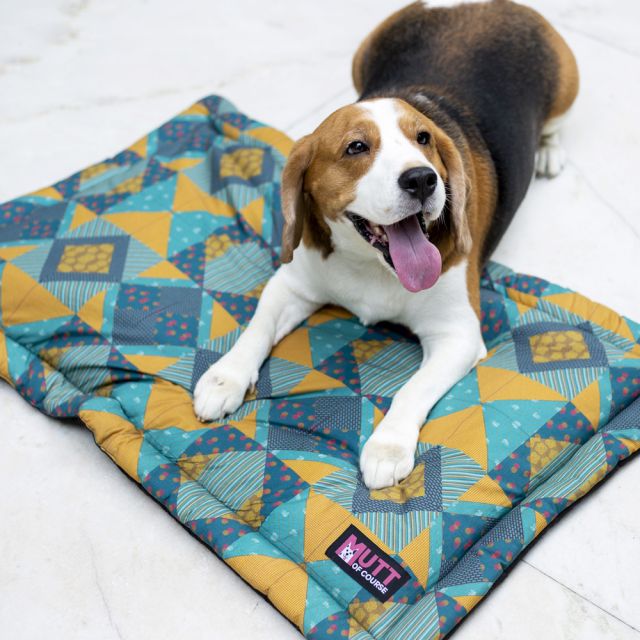 Mutt Of course Tricky Turkey Mat - M