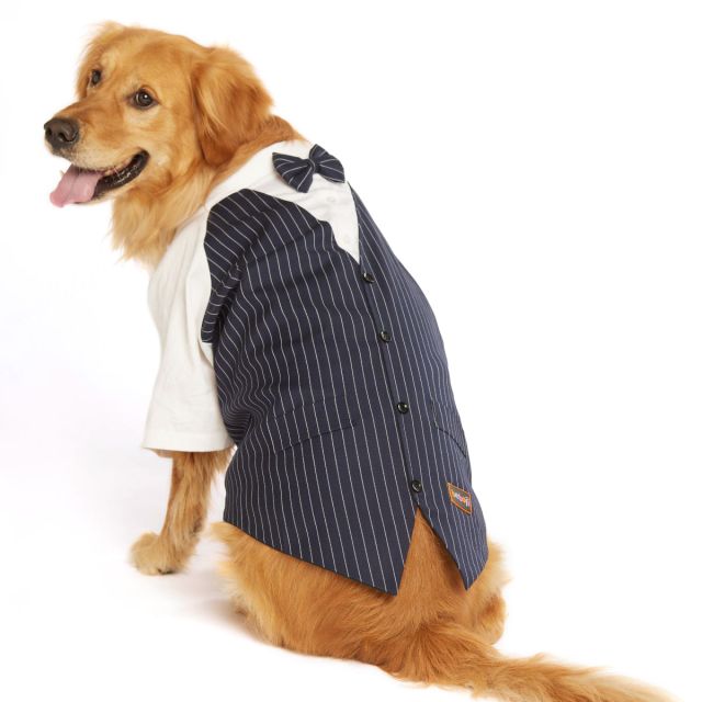 beboji Classy Gentelman Black Stripe Dog Shirt with Bow-S