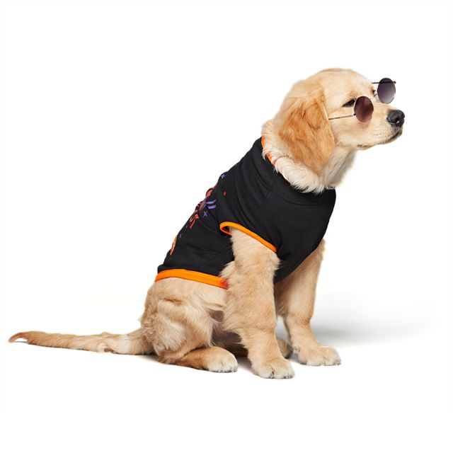 beboji O Bete Mauj Kardi Dog Tshirt - M