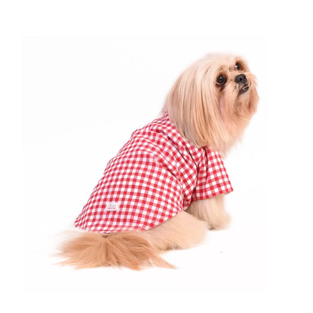 ZL XOXO GINGHAM CHECKS SHIRT-M-(31cm)