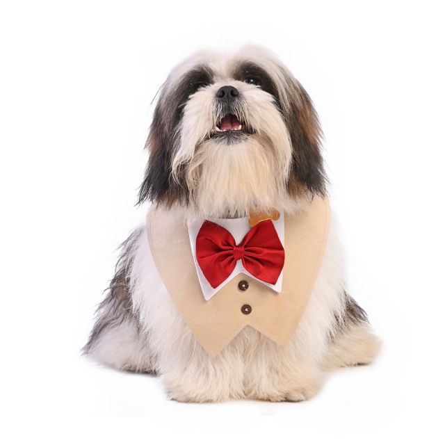 ZL XOXO Gentlemen in Tux Dog Bandana-S