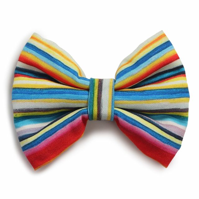 Beboji Stripy Trippy Dog Bow Tie-S