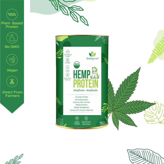 Healing Leaf  Hemp Protein  Powder - 100 gm