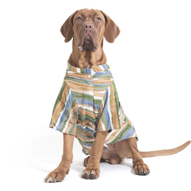 ZL Grassland Stripes Shirt For Dog Days4XL
