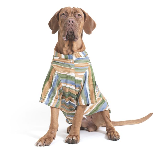 ZL Grassland Stripes Shirt For Dog Days-M