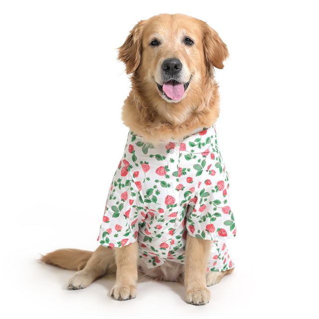 ZL Strawberry Dream Shirt For Dog Days-M