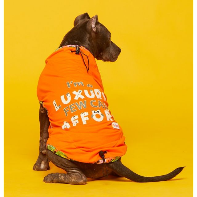 beboji Monster Squad Polo Dog T-Shirt | Half Sleeve Tshirt for Dogs | Stretchable & Easy to Wear Cotton Dog Clothes Available for All Ages of Pet Dogs - XS