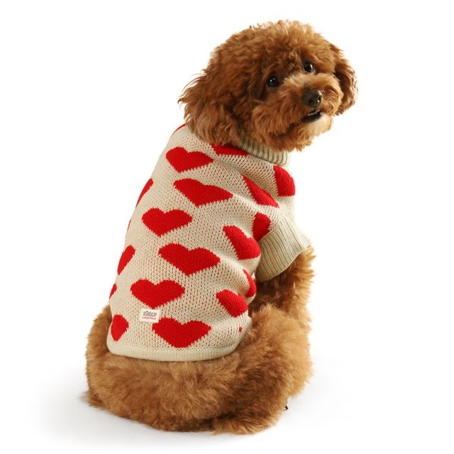 ZL Little Hearts Dog Sweater-S