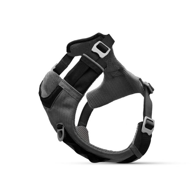 Kurgo Joyful Air Dog Harness-Black-M