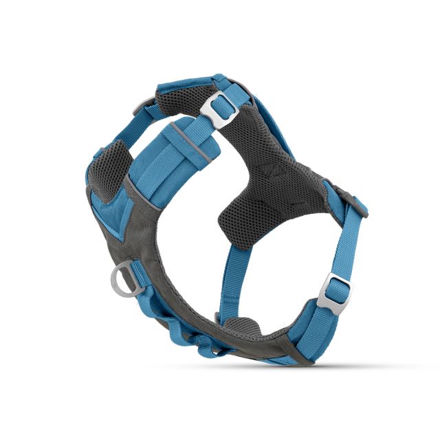 Kurgo Joyful Air Dog Harness-Blue-M