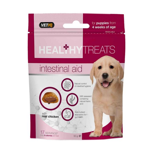 Mark & Chappell Healthy Treats Intestinal Aid for Puppies - 50 gm  