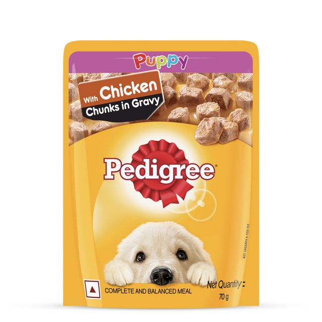 Pedigree Chicken Chunks in Gravy Puppy Wet Food - 70 gm 