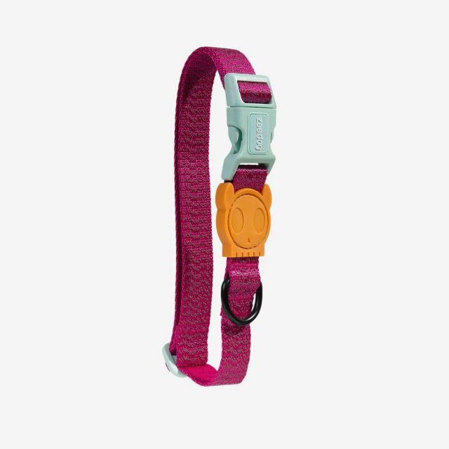 Buy dog collar online store