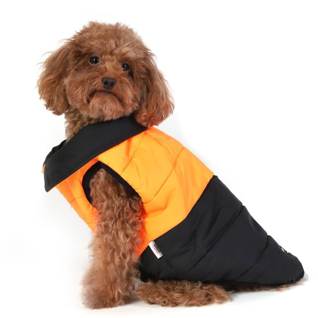ZL A BOO CREW WINTER JACKET -M