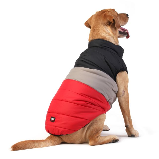 ZL Cookie Time Winter Dog Jacket-M