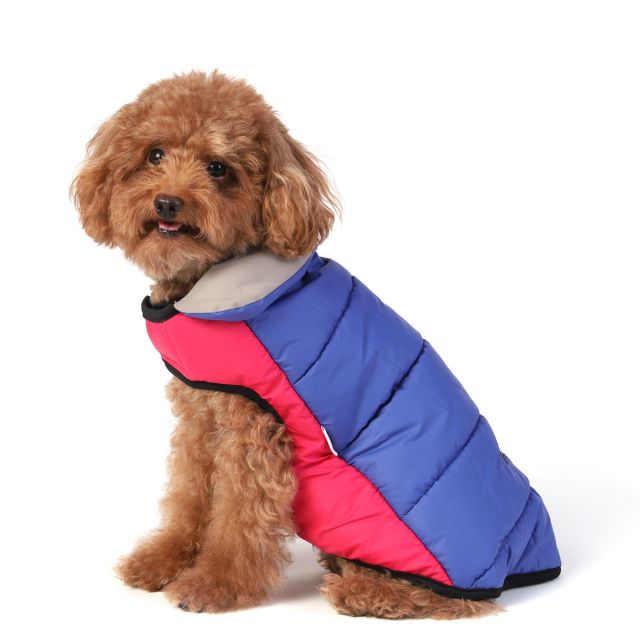 ZL It's Wonder-Fur Day jacket-M