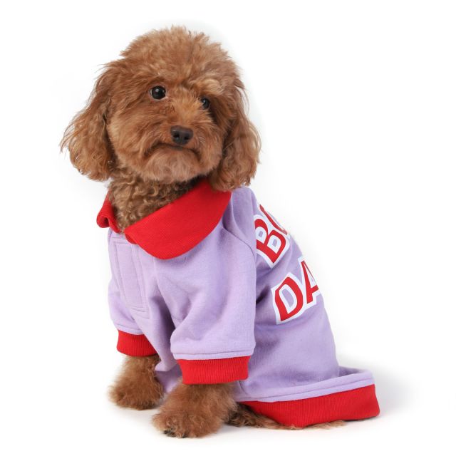  ZL Boop Dawg Sweatshirt-XS