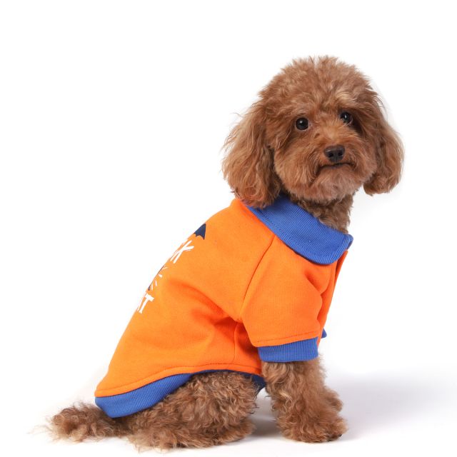  ZL Trick or Treat Sweatshirt For Dogs-XS