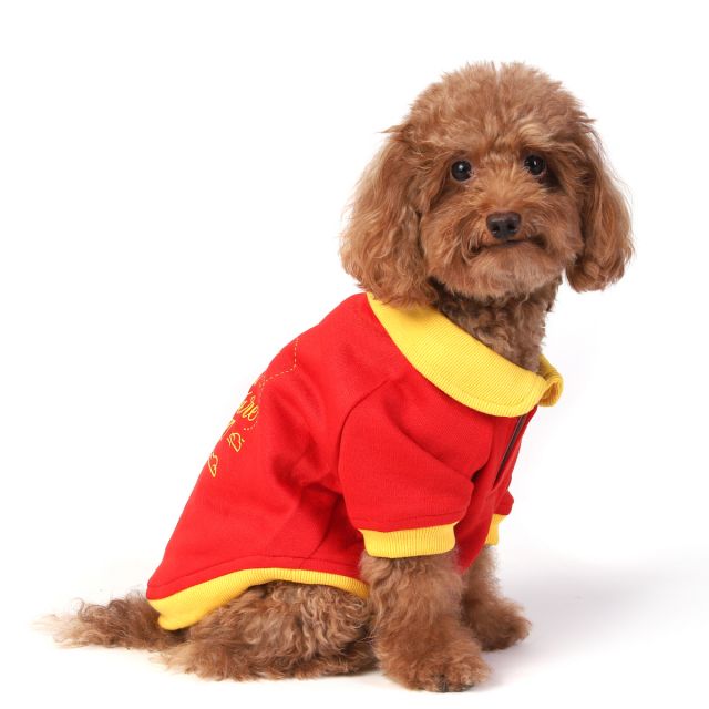 ZL Say Yes To New Adventures Sweatshirt For Dogs-XS