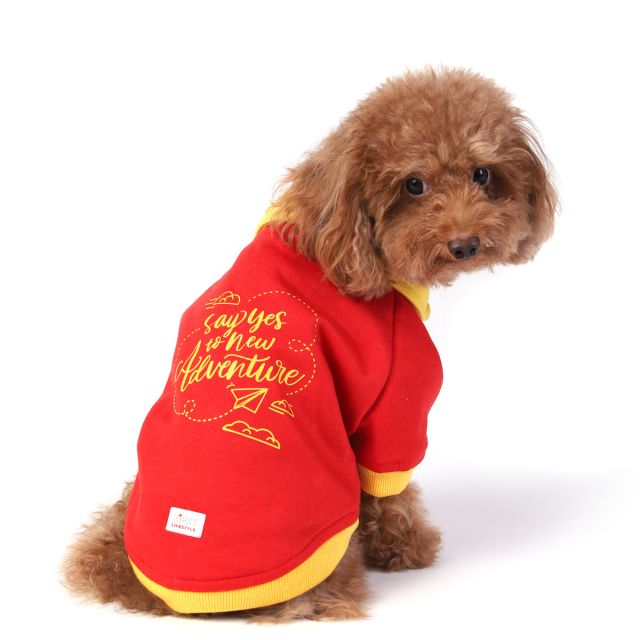 ZL Say Yes To New Adventures Sweatshirt For Dogs-M