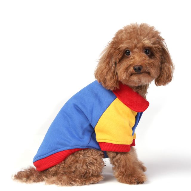 ZL Super Wagger Sweatshirt For Dogs-XS