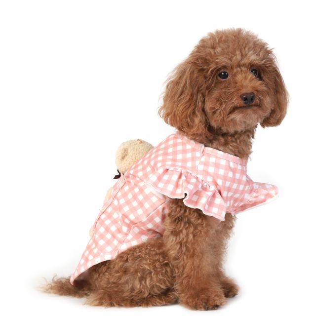 ZL Little Bunny Dog Hoodie-XS