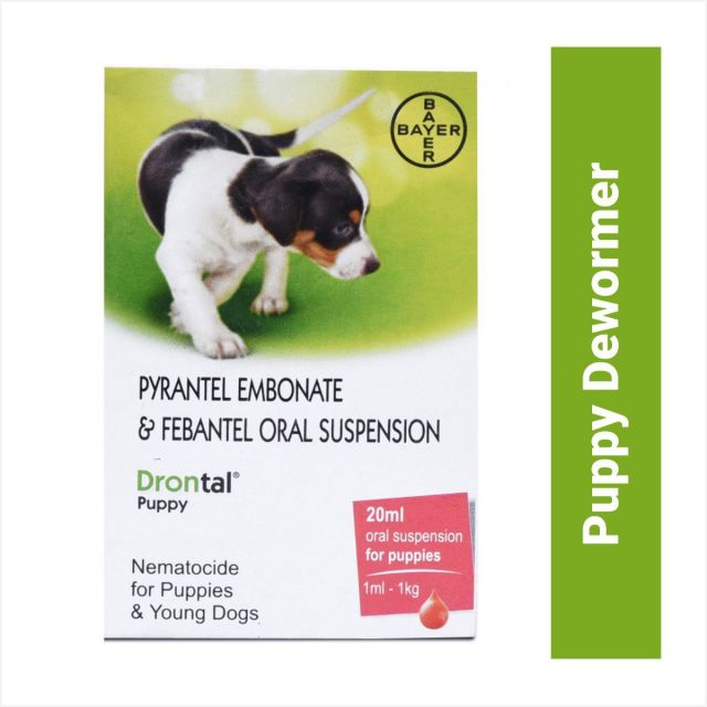 Bayer Drontal Puppy Dewormer - 20 ml
