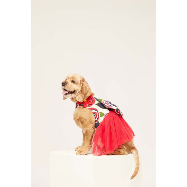 beboji Big Bow Flare Frock-S