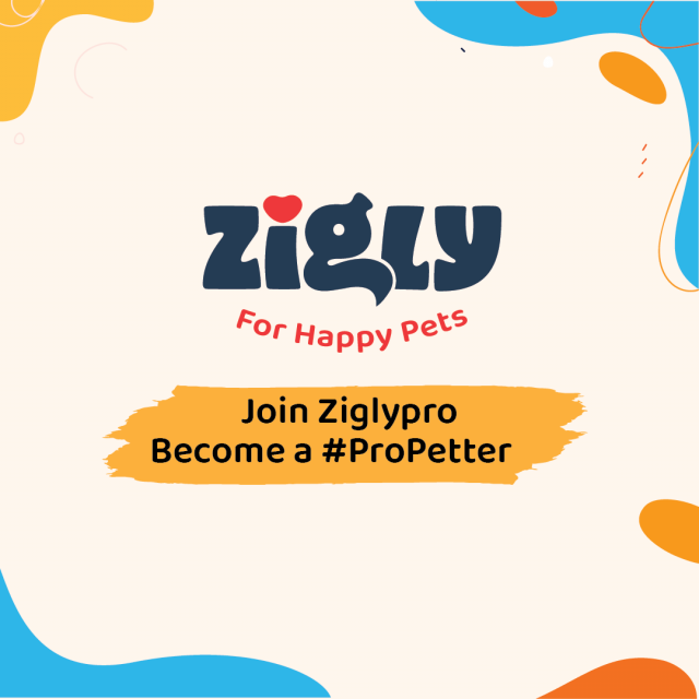 Zigly Pro Membership