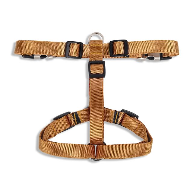 ZL Classic Dog H Harness Gold-S