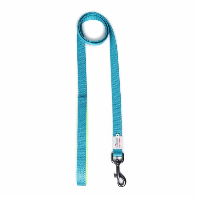 ZL Classic Padded Dog Leash - Neon Green-M