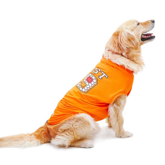 ZL Pet Best 69 Dog T-Shirt-S