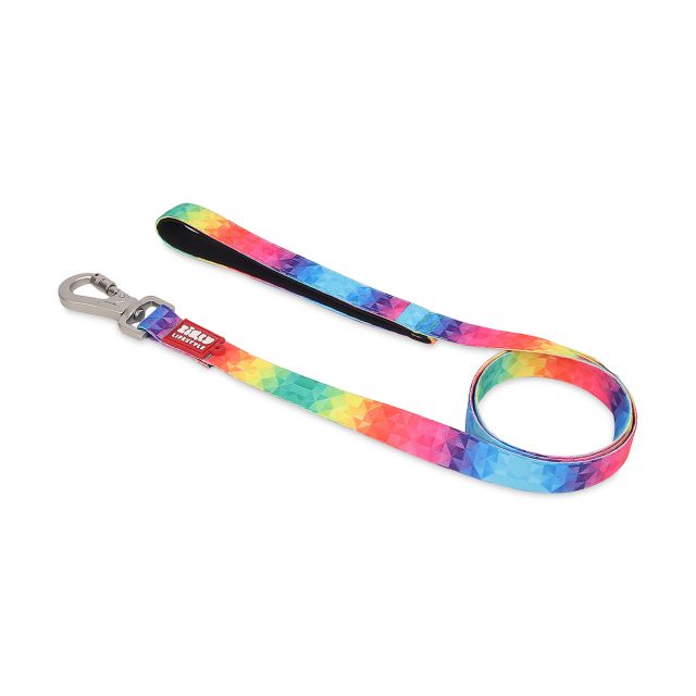 ZL Rainbow Dog Leash -M