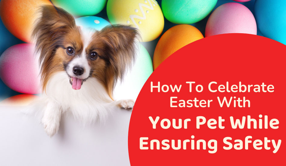 How To Celebrate Easter With Your Pet While Ensuring Safety?