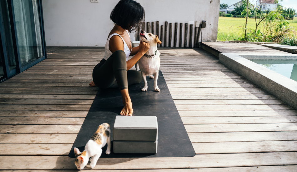 Doga (Dog Yoga): The Top Yoga Hooman Trend 2023