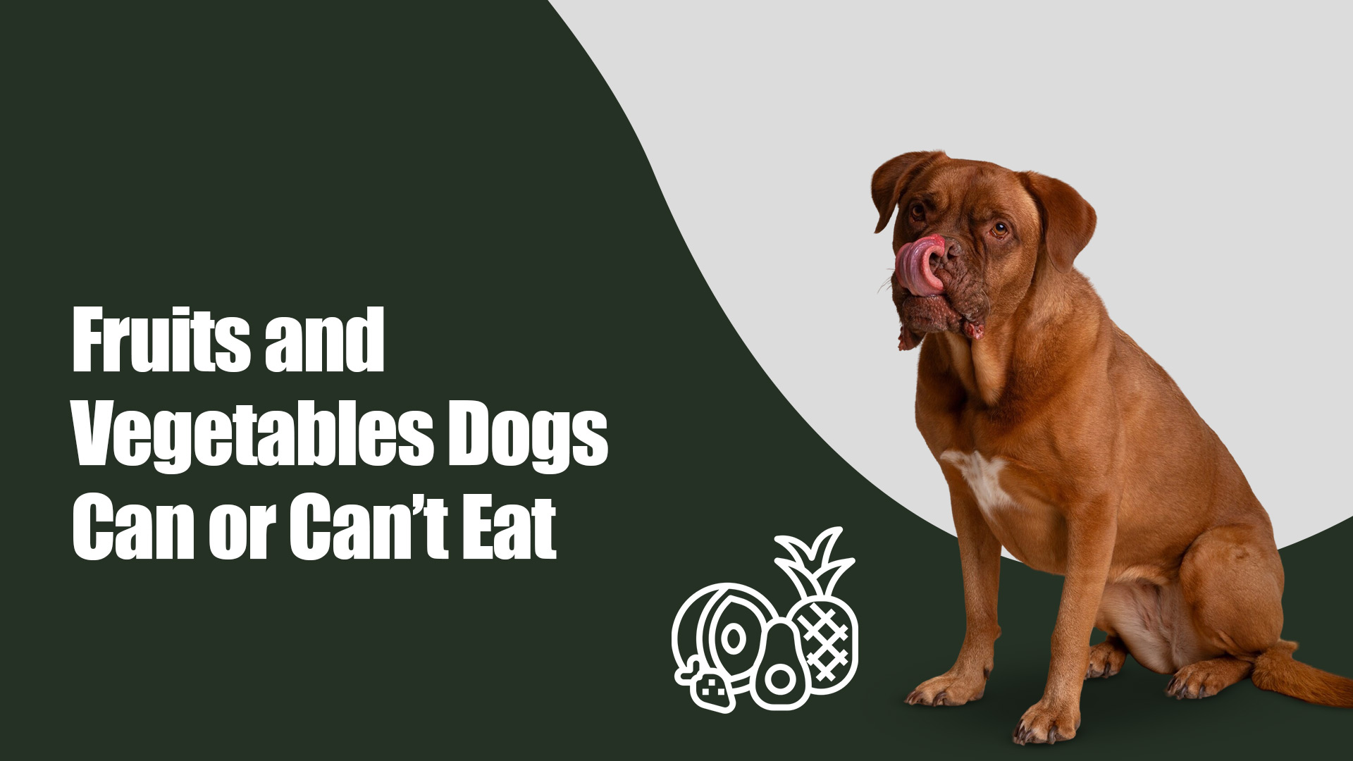 Fruits and Vegetables Dogs Can or Can’t Eat