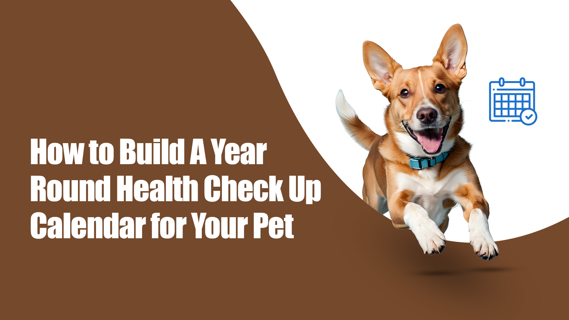 How to Build a Year-Round Health Check-Up Calendar for Your Pet